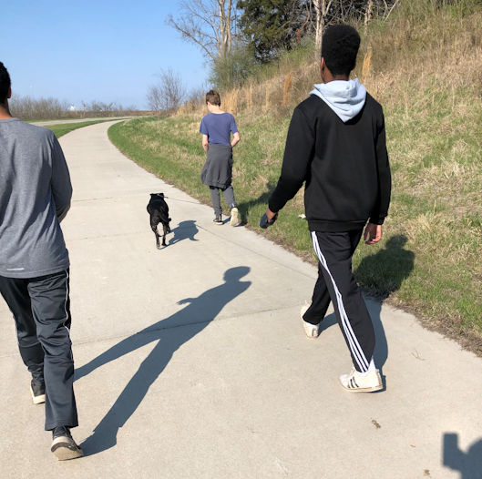 three young men walking a dog with their backs to the camera