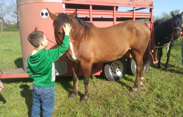 young boy standing beside a horse reaching up to pet its head